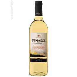 Astral Blanco 75cl